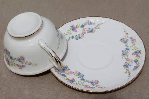 photo of set for 12 vintage china tea cups & saucers w/ Blue Belle forget-me-not floral #5