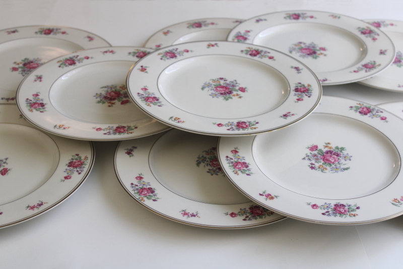 photo of set of 10 Arlington Theodore Haviland 1950s vintage porcelain dinner plates, Dresden floral  #1