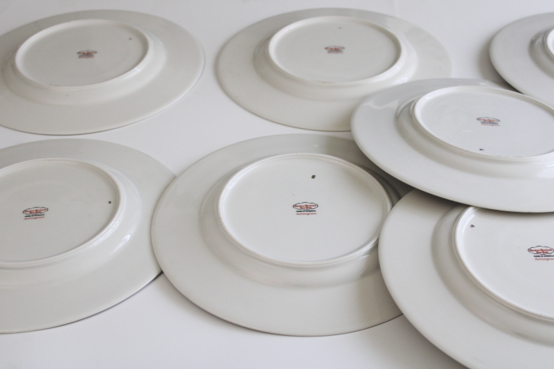 photo of set of 10 Arlington Theodore Haviland 1950s vintage porcelain dinner plates, Dresden floral  #10