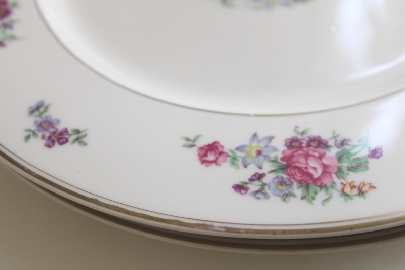 photo of set of 10 Arlington Theodore Haviland 1950s vintage porcelain dinner plates, Dresden floral  #16