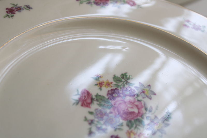 photo of set of 10 Arlington Theodore Haviland 1950s vintage porcelain dinner plates, Dresden floral  #19