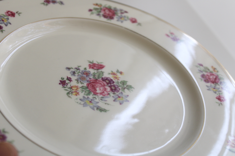 photo of set of 10 Arlington Theodore Haviland 1950s vintage porcelain dinner plates, Dresden floral  #34