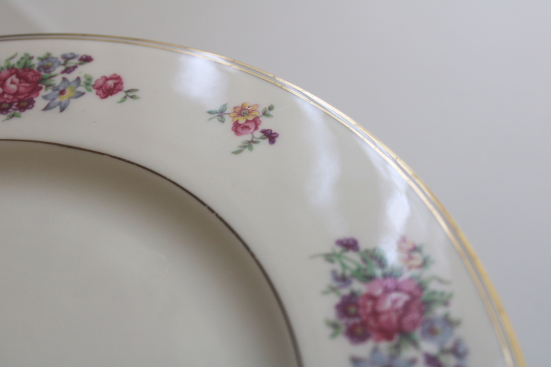 photo of set of 10 Arlington Theodore Haviland 1950s vintage porcelain dinner plates, Dresden floral  #43