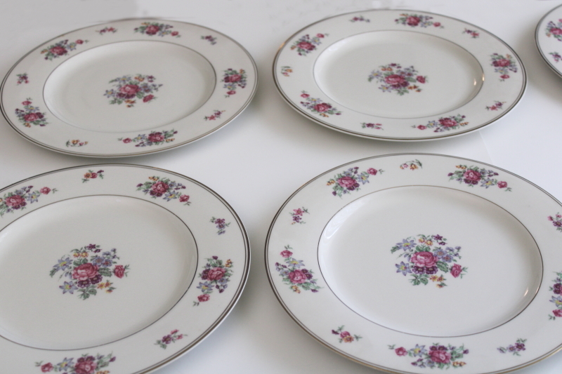 photo of set of 10 Arlington Theodore Haviland 1950s vintage porcelain dinner plates, Dresden floral  #46