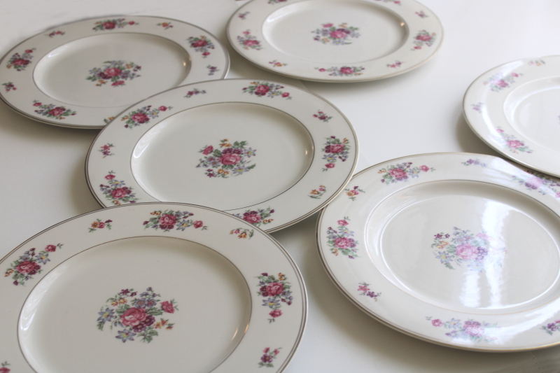 photo of set of 10 Arlington Theodore Haviland 1950s vintage porcelain dinner plates, Dresden floral  #49