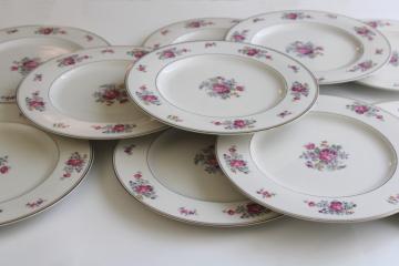 set of 10 Arlington Theodore Haviland 1950s vintage porcelain dinner plates, Dresden floral 