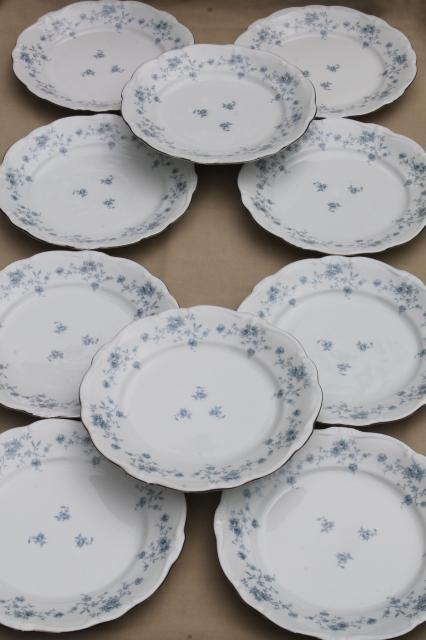 photo of set of 10 Blue Garland china dinner plates, vintage Bavaria mark Johann Haviland #1