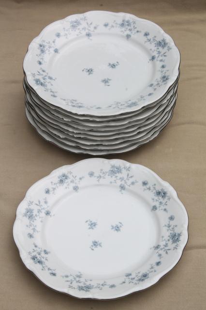 photo of set of 10 Blue Garland china dinner plates, vintage Bavaria mark Johann Haviland #2