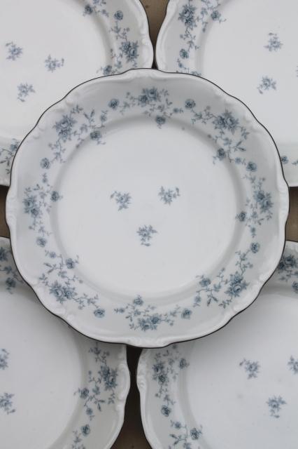 photo of set of 10 Blue Garland china dinner plates, vintage Bavaria mark Johann Haviland #3