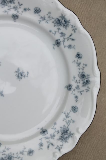 photo of set of 10 Blue Garland china dinner plates, vintage Bavaria mark Johann Haviland #5