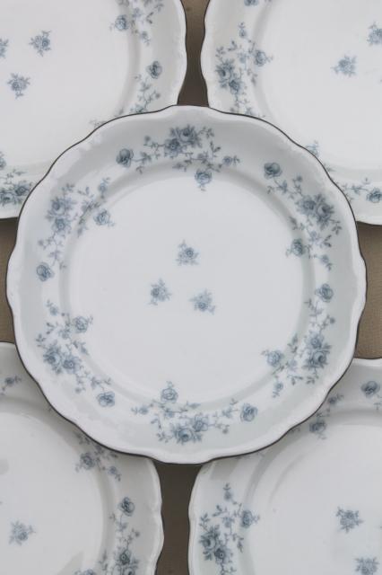 photo of set of 10 Blue Garland china salad plates, vintage Bavaria mark Johann Haviland #2