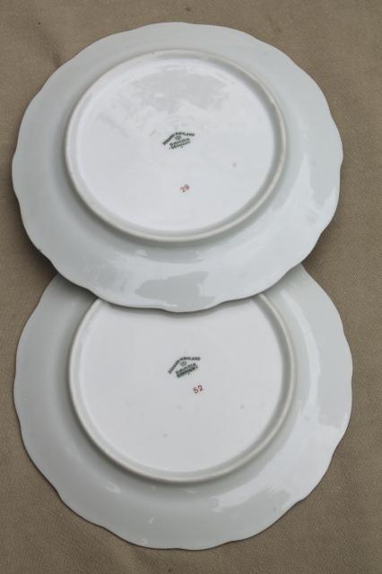 photo of set of 10 Blue Garland china salad plates, vintage Bavaria mark Johann Haviland #8