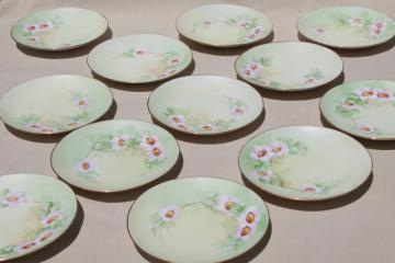 catalog photo of set of 12 antique Bavaria china plates w/ hand painted wild rose floral