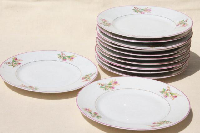 photo of set of 12 antique vintage hand painted moss rose porcelain salad or luncheon plates #1