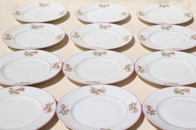 photo of set of 12 antique vintage hand painted moss rose porcelain salad or luncheon plates #3