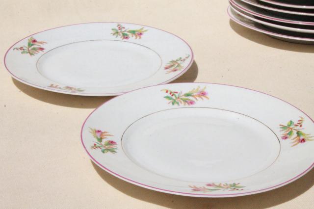 photo of set of 12 antique vintage hand painted moss rose porcelain salad or luncheon plates #6