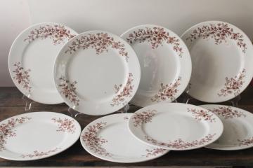 catalog photo of set of 8 antique heavy white ironstone china plates, brown floral transferware