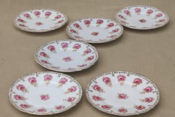 catalog photo of set of German porcelain dessert plates w/ old fashioned roses, early 1900s vintage Germany