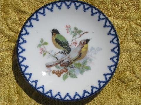 photo of set of miniature vintage china plates w/ birds, cobalt blue border #4