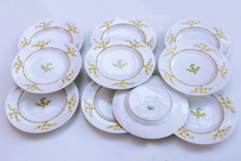 photo of set of plates vintage Spode Geisha plum or cherry blossom hand painted Blanche de Chine #1