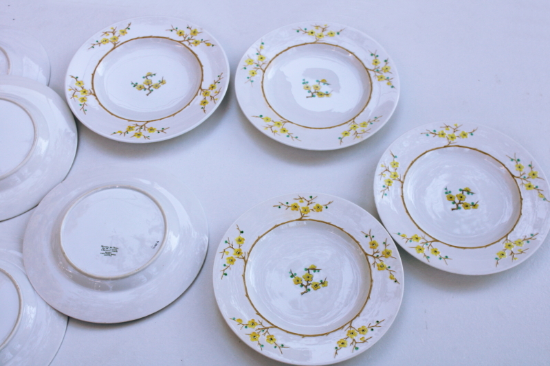 photo of set of plates vintage Spode Geisha plum or cherry blossom hand painted Blanche de Chine #8