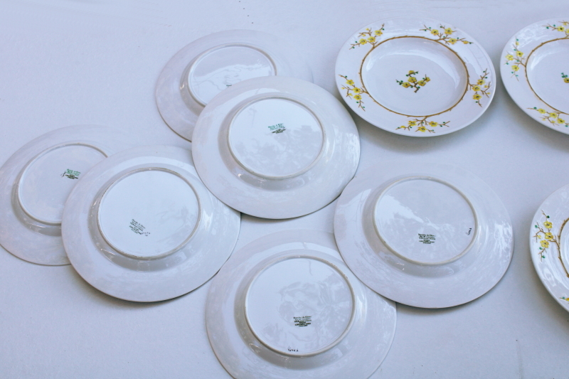 photo of set of plates vintage Spode Geisha plum or cherry blossom hand painted Blanche de Chine #9