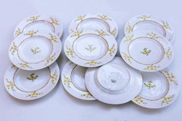 set of plates vintage Spode Geisha plum or cherry blossom hand painted Blanche de Chine