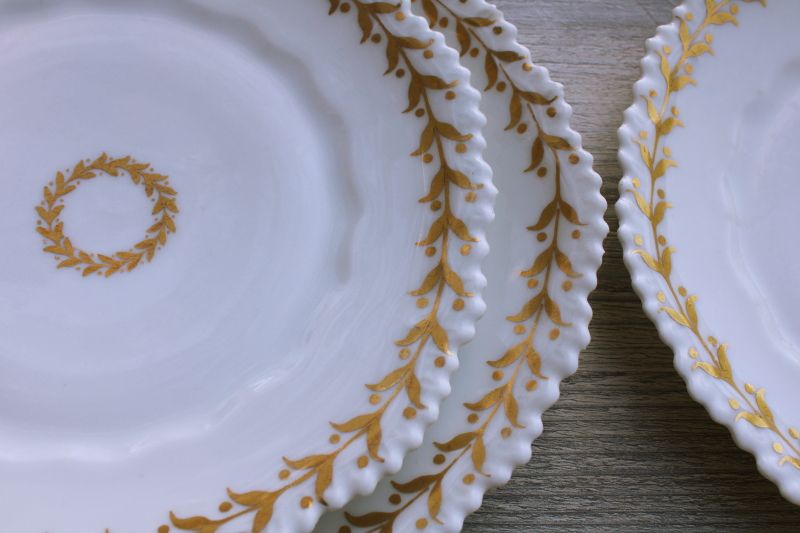 photo of set of vintage white china plates w/ heavy gold laurel leaf wreath border #2