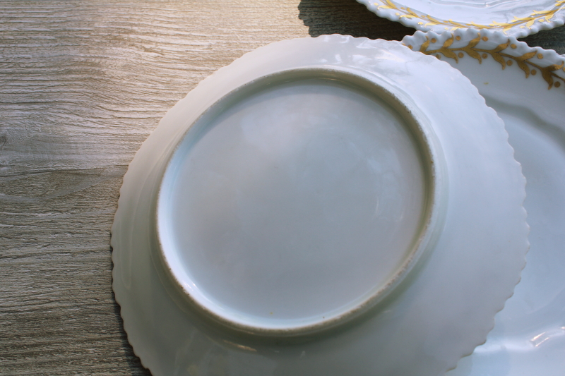 photo of set of vintage white china plates w/ heavy gold laurel leaf wreath border #4