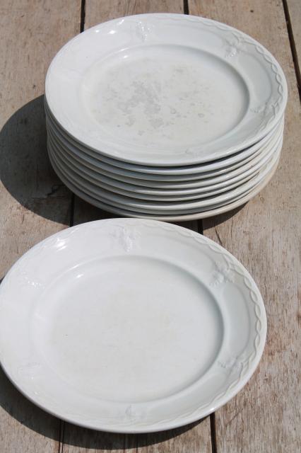 photo of shabby antique 1800s vintage ironstone china set of 10 dinner plates, grape & cable pattern #1