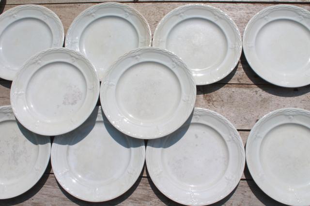 photo of shabby antique 1800s vintage ironstone china set of 10 dinner plates, grape & cable pattern #2