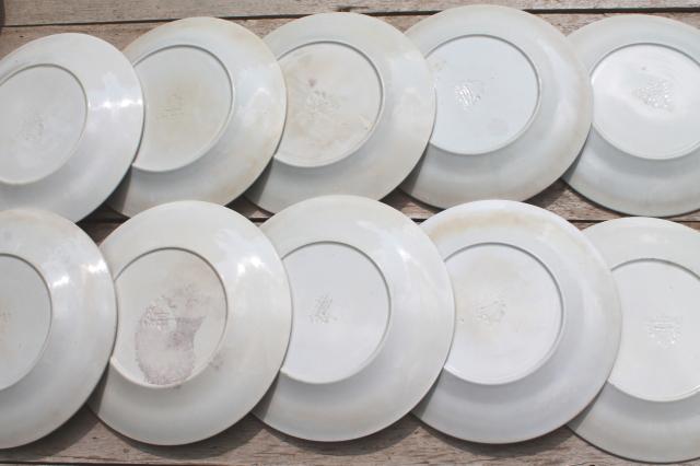 photo of shabby antique 1800s vintage ironstone china set of 10 dinner plates, grape & cable pattern #8