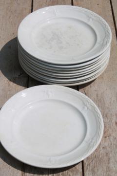 catalog photo of shabby antique 1800s vintage ironstone china set of 10 dinner plates, grape & cable pattern