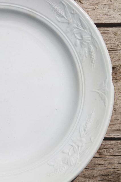 photo of shabby antique 1800s vintage ironstone china set of 6 dinner plates, poppies in the wheat pattern #3