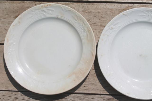 photo of shabby antique 1800s vintage ironstone china set of 6 dinner plates, poppies in the wheat pattern #5