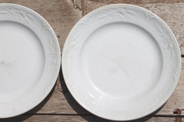 photo of shabby antique 1800s vintage ironstone china set of 6 dinner plates, poppies in the wheat pattern #6