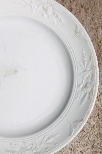 photo of shabby antique 1800s vintage ironstone china set of 6 dinner plates, poppies in the wheat pattern #7