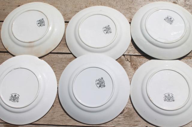 photo of shabby antique 1800s vintage ironstone china set of 6 dinner plates, poppies in the wheat pattern #10