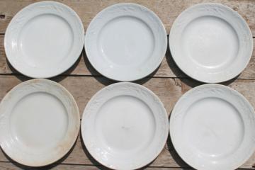 catalog photo of shabby antique 1800s vintage ironstone china set of 6 dinner plates, poppies in the wheat pattern