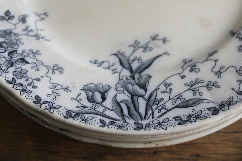 photo of shabby antique English ironstone china plates, inky dark blue transferware floral  #12