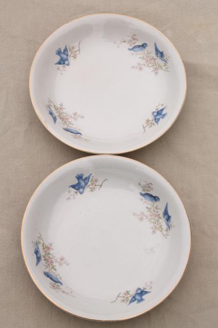 photo of shabby antique bluebird china bowls, mismatched vintage china w/ blue birds #4