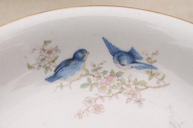 photo of shabby antique bluebird china bowls, mismatched vintage china w/ blue birds #5