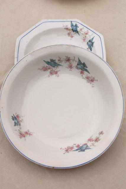 photo of shabby antique bluebird china bowls, mismatched vintage china w/ blue birds #8