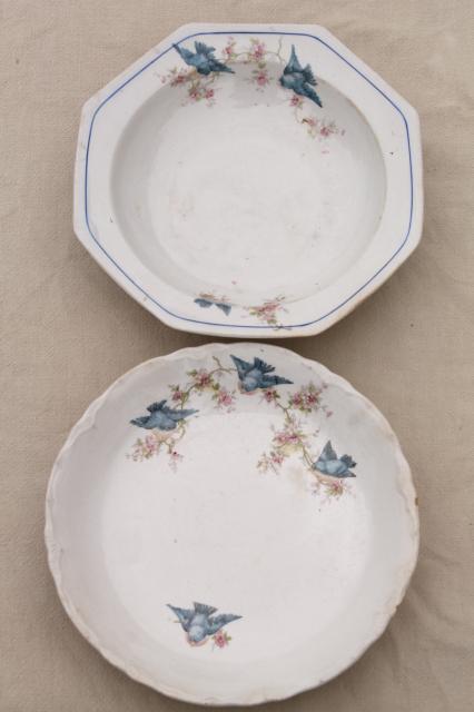 photo of shabby antique bluebird china bowls, mismatched vintage china w/ blue birds #9