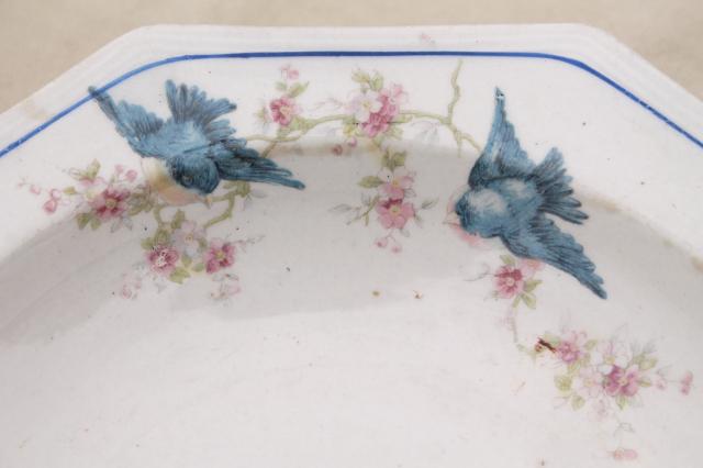 photo of shabby antique bluebird china bowls, mismatched vintage china w/ blue birds #11