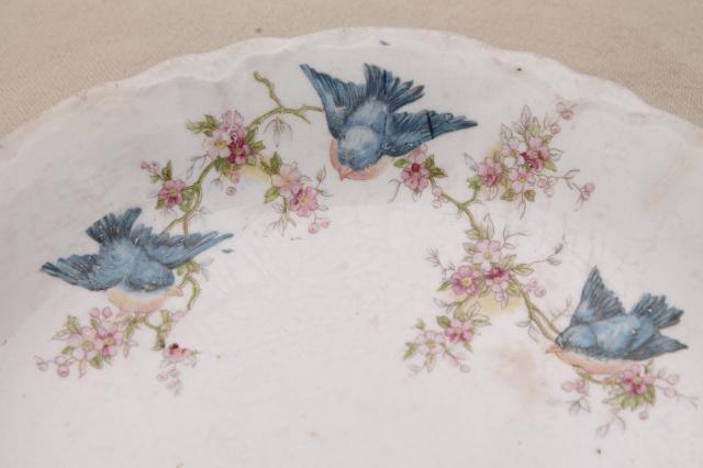 photo of shabby antique bluebird china bowls, mismatched vintage china w/ blue birds #13