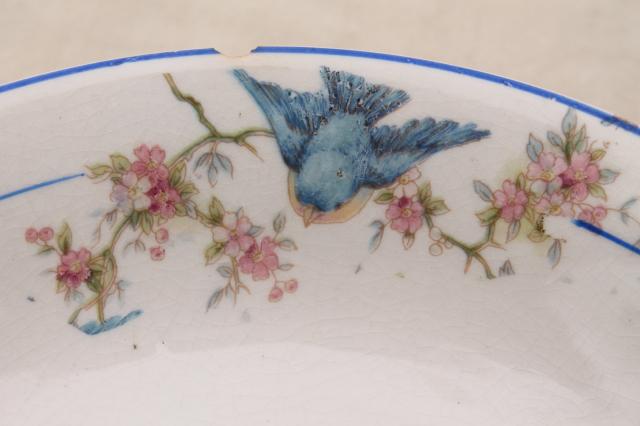 photo of shabby antique bluebird china bowls, mismatched vintage china w/ blue birds #21