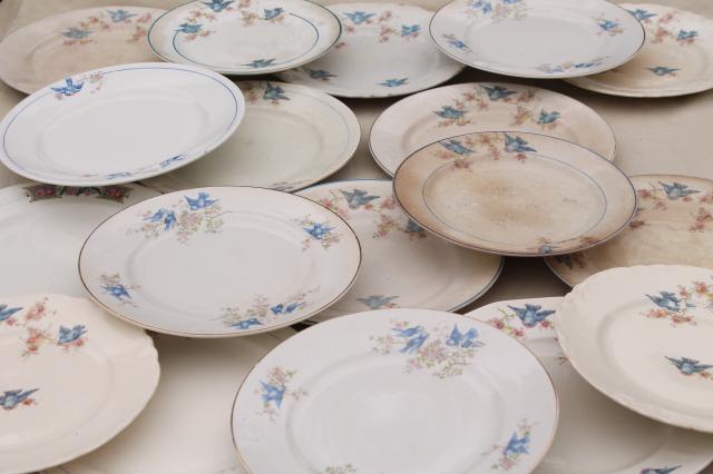 photo of shabby antique bluebird china plates, mismatched vintage china w/ blue birds #1