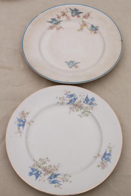 photo of shabby antique bluebird china plates, mismatched vintage china w/ blue birds #2