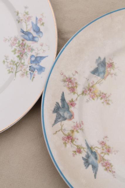 photo of shabby antique bluebird china plates, mismatched vintage china w/ blue birds #3